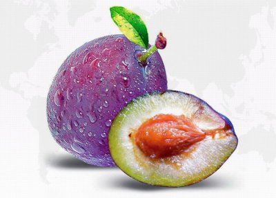 乌梅什么时候上市 几月份成熟