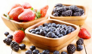 蓝莓怎么养才能更旺盛 蓝莓如何养才能更旺盛