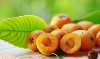 新鲜枇杷肉怎么保存好 剥好的枇杷肉怎么保存合适