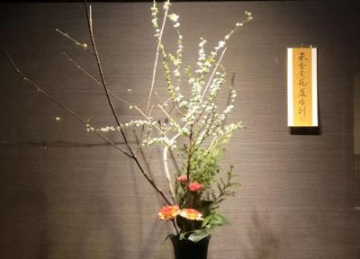 雪柳花败后还能继续养吗 水养干支雪柳开花后还能养吗