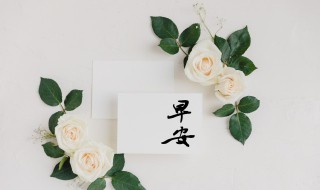 正能量的朋友圈早安 正能量发早安朋友圈