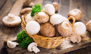 圆菇里面黑的可以吃吗 圆菇里面发黑能不能吃