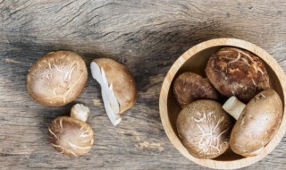 香菇适合什么地方种植 香菇适合种植的地方