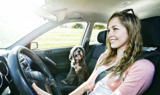 自驾游买什么保险 自驾出去玩买什么保险