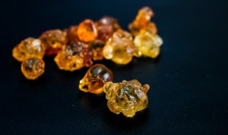 桃胶炖法 步骤 咸桃胶的正确炖法