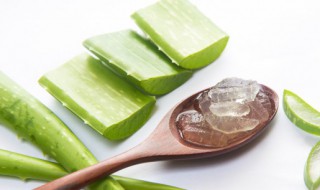 吃芦荟的好处 吃芦荟对身体有哪些好处