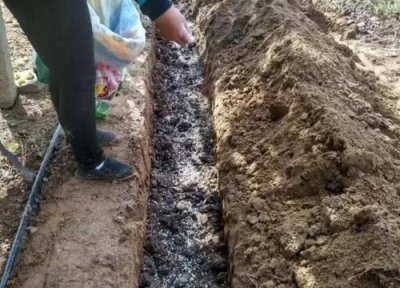 磷酸二铵的作用及使用方法 磷酸二铵施用技巧及注意事项