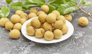 冬天龙眼核怎么种盆栽 冬天龙眼核盆栽的养殖技巧