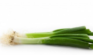 大葱怎么存放时间最长 大葱如何存放时间最长