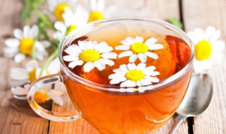 菊花开花的方法和注意事项 有什么方法可以使菊花在春节开花而且花多