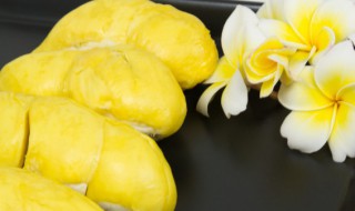 吃榴莲可以喝酸奶吗 吃榴莲能不能喝酸奶呢