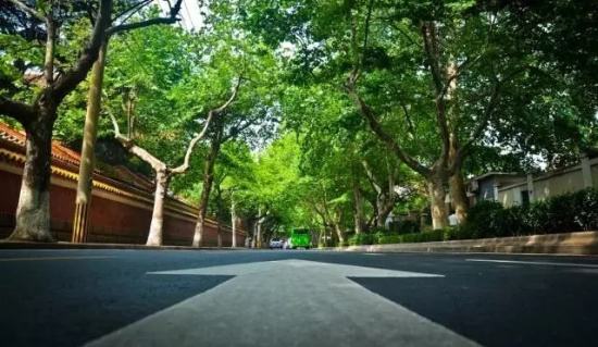 汽车自动头灯是什么意思