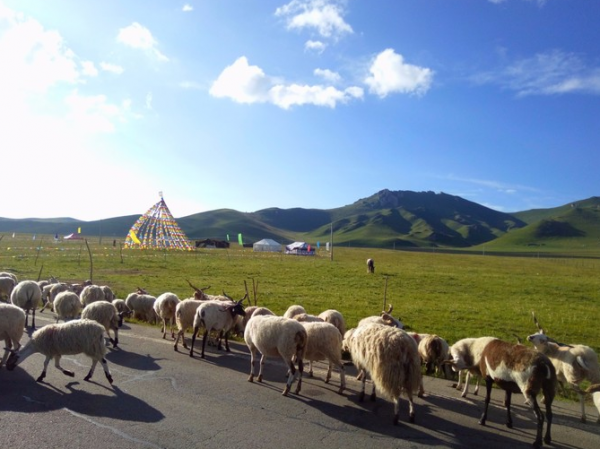 若尔盖草原海拔多少米