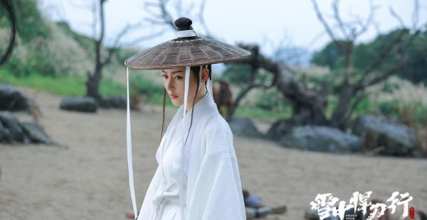 雪中悍刀行有没有第二部