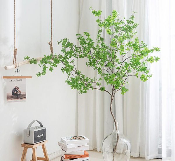 马醉木室内有毒吗