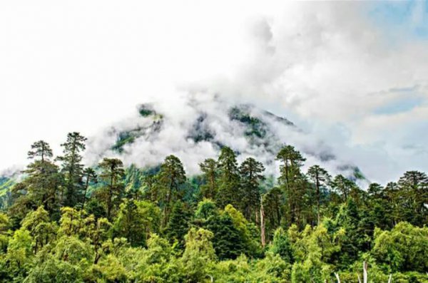 墨脱海拔高度是多少米