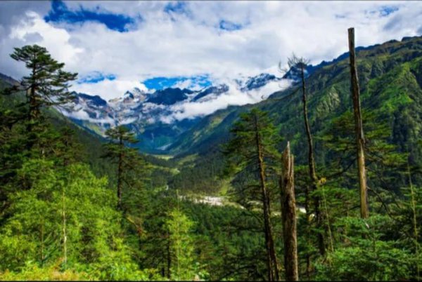 墨脱海拔高度是多少米