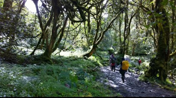 墨脱海拔高度是多少米