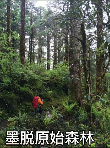 墨脱海拔高度是多少米