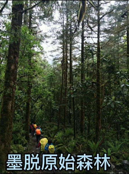 墨脱海拔高度是多少米