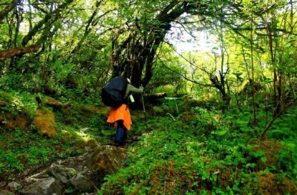 墨脱海拔高度是多少米