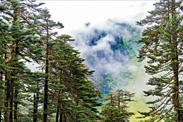 墨脱海拔高度是多少米