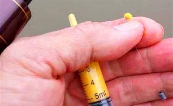 夏季钓鲫鱼用什么饵料好