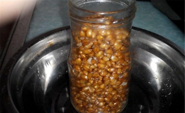 夏季钓鲫鱼用什么饵料好