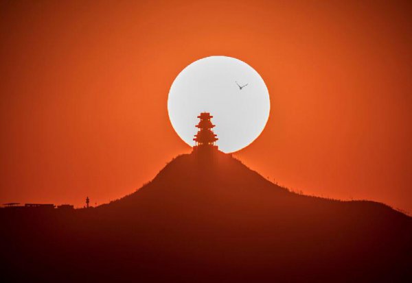 太阳的能量来源于哪里