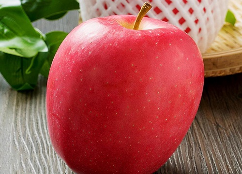 十大优质苹果品种分布