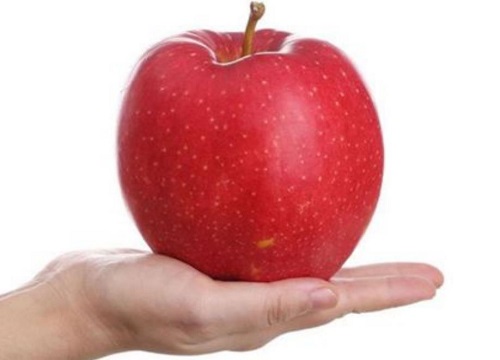 十大优质苹果品种分布