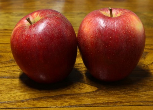 十大优质苹果品种分布