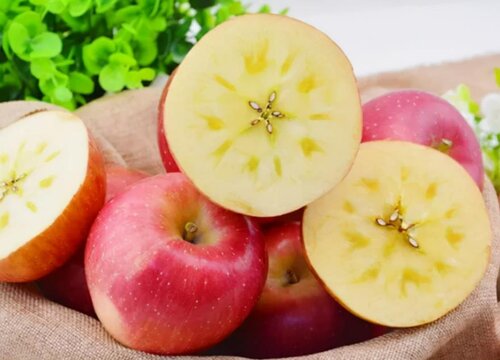 十大优质苹果品种分布