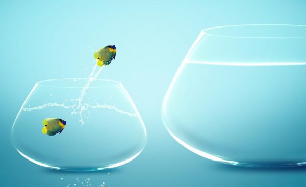 鱼缸养鱼前最简单的养水方法