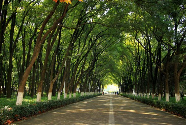 全国大学排名榜