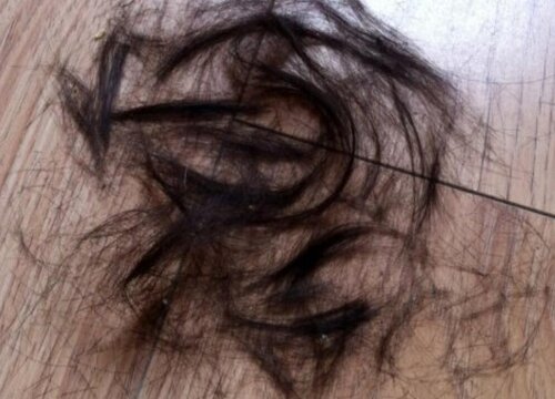 头发可以做肥料吗