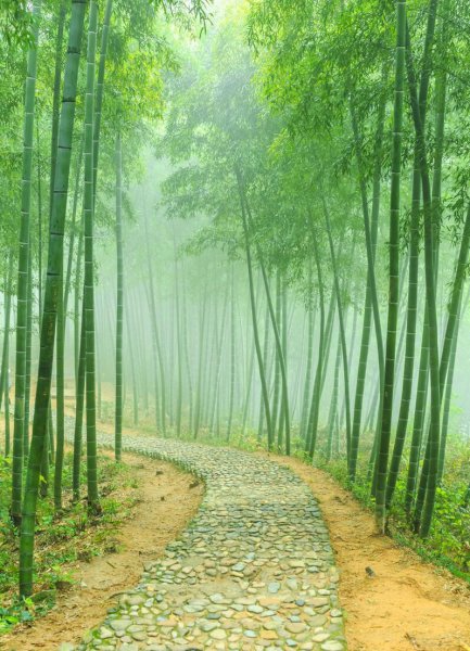 审美是什么意思