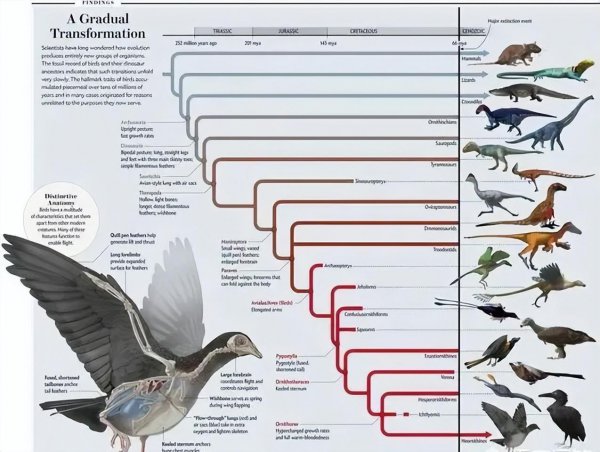 恐龙是什么时候灭绝的