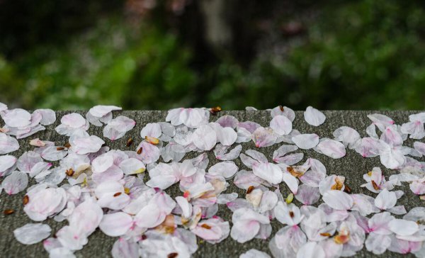 放下一个人需要多久时间