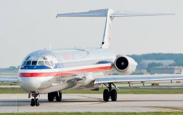 地球上生长最快的树是什么树木