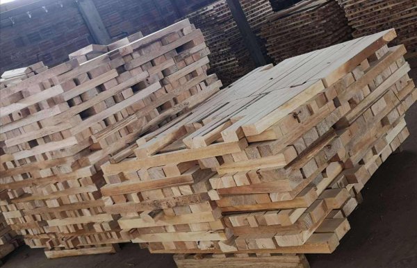 地球上生长最快的树是什么树木