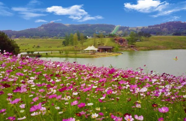 武汉有哪些旅游景点值得游玩