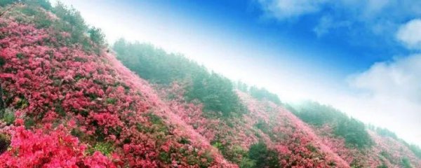 武汉有哪些旅游景点值得游玩