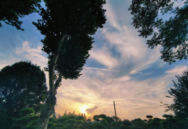 武汉有哪些旅游景点值得游玩