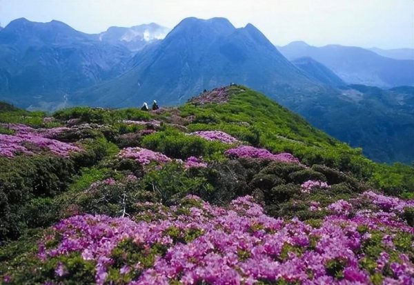 武汉有哪些旅游景点值得游玩