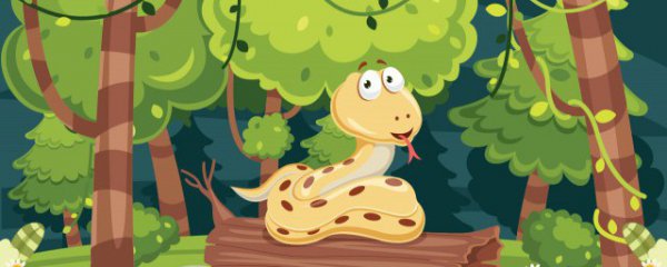 招财蛇的摆放禁忌