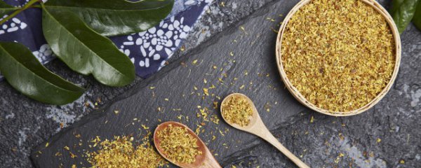 桂花是凉性还是热性