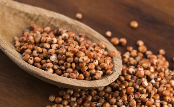 中国十大传统美食有哪些