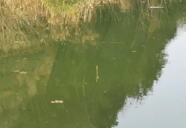 野钓调漂的正确方法和技巧