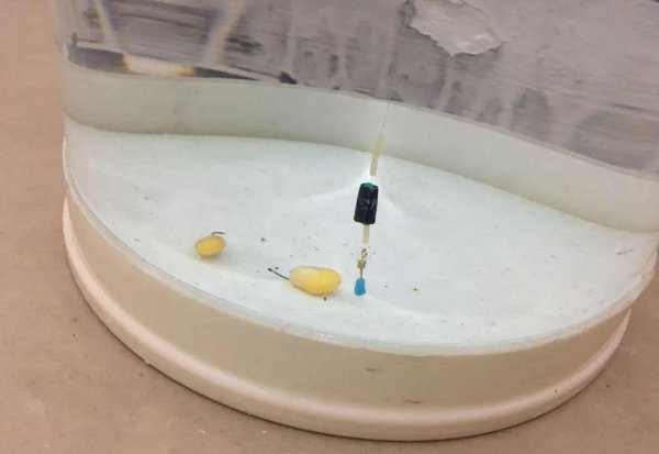 野钓调漂的正确方法和技巧